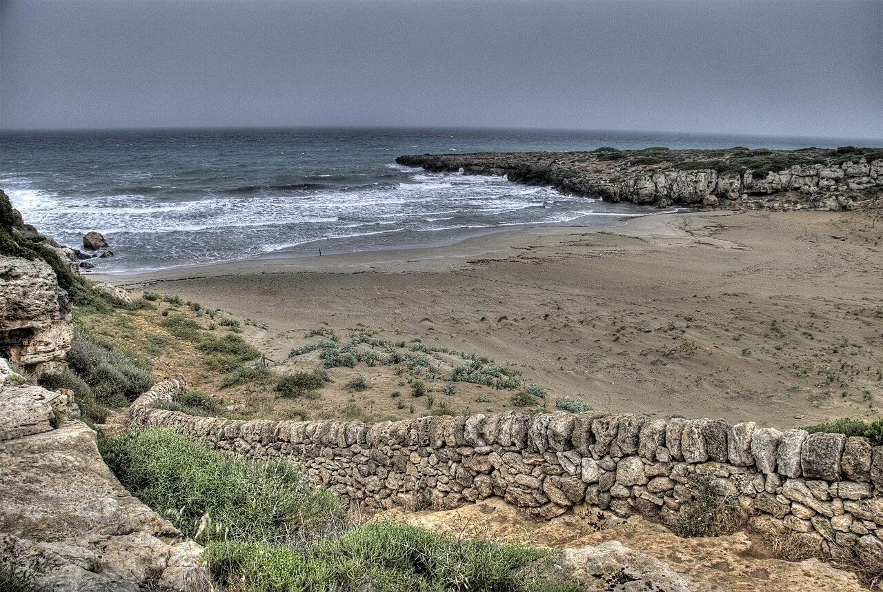 Il tratto di costa rocciosa verso Calamosche, con un muretto a secco in primo piano